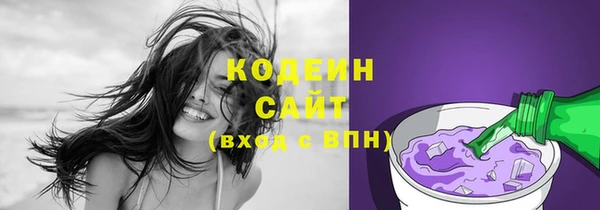 PSILOCYBIN Кукмор