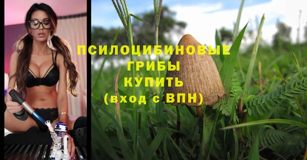 СК Кулебаки
