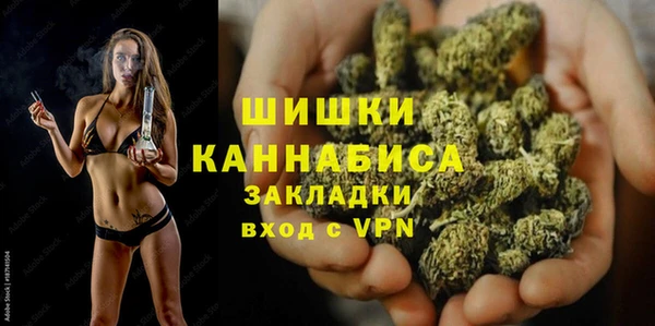 PSILOCYBIN Кукмор