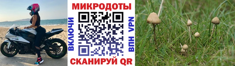хочу наркоту  Макарьев  Псилоцибиновые грибы Magic Shrooms 